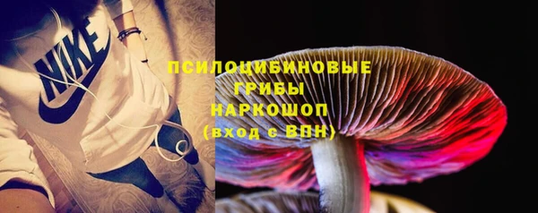 не бодяженный Верхний Тагил
