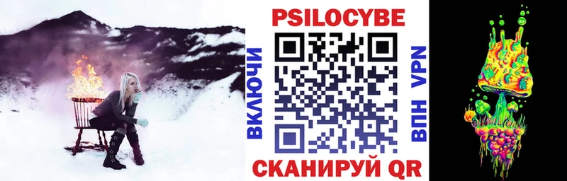 Купить  Володарск  Галлюциногенные грибы Psilocybine cubensis 